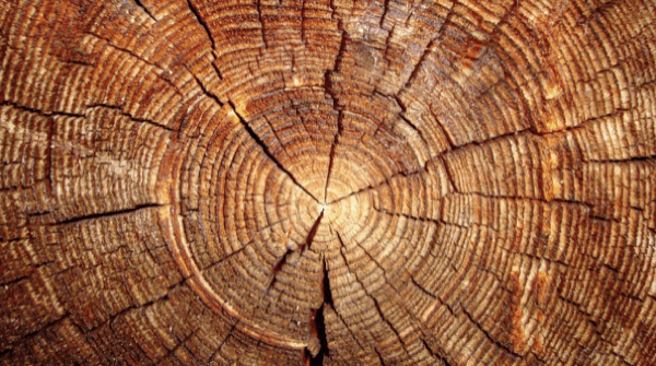 feng shui - Dallo YIN e lo YANG alla teoria dei Cinque Elementi 5 feng shui - Dallo YIN e lo YANG alla teoria dei Cinque Elementi 5