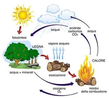 riscaldamento a legna - Legna o pellet, energia grigia ed emissioni di CO2 12