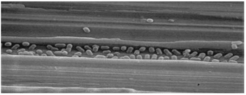 acqua calda sanitaria & solare termico - Il rame è un antibatterico efficace, io lo uso in casa, nelle rubinetterie e... 15