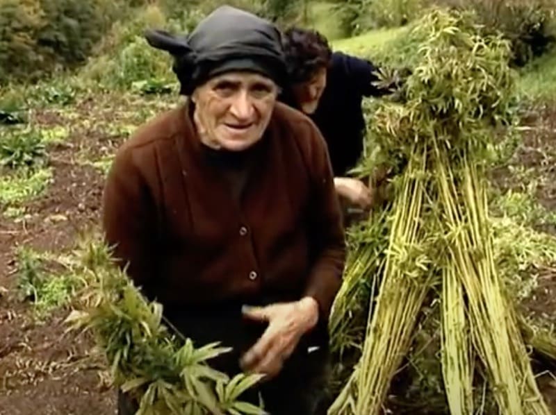 isolamento contro il caldo - Fibra di legno o fibra di canapa, è questo il dilemma 12 isolamento contro il caldo - Fibra di legno o fibra di canapa, è questo il dilemma 12