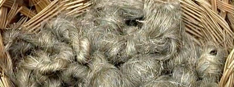 isolamento contro il caldo - Fibra di legno o fibra di canapa, è questo il dilemma 19 isolamento contro il caldo - Fibra di legno o fibra di canapa, è questo il dilemma 19