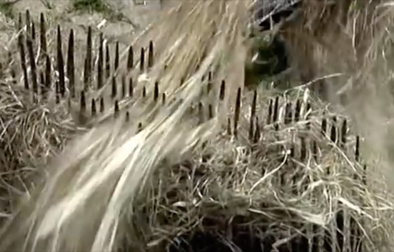 isolamento contro il caldo - Fibra di legno o fibra di canapa, è questo il dilemma 23 isolamento contro il caldo - Fibra di legno o fibra di canapa, è questo il dilemma 23