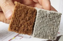 Progettare tetto e parete contro il caldo estivo