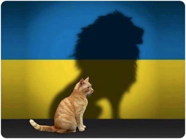 ABC, esperto casaclima PER PRINCIPIANTI - esperto casaclima facile part #9 interventi di efficienza energetica per abbassare le bollette luce&gas 15 ABC, esperto casaclima PER PRINCIPIANTI - esperto casaclima facile part #9 interventi di efficienza energetica per abbassare le bollette luce&gas 14