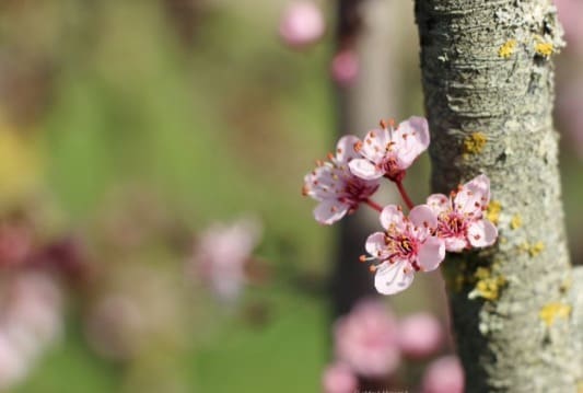 ABC, esperto casaclima PER PRINCIPIANTI - esperto casaclima facile part #9 interventi di efficienza energetica per abbassare le bollette luce&gas 19 ABC, esperto casaclima PER PRINCIPIANTI - esperto casaclima facile part #9 interventi di efficienza energetica per abbassare le bollette luce&gas 18