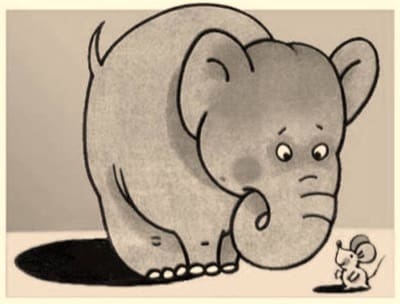 fotovoltaico mini fotovoltaico - esperto casaclima facile part #11 la scelta del mini Fotovoltaico senza immissione in rete 17