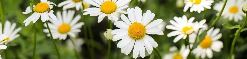 acqua calda sanitaria & solare termico - Acqua in bottiglia e non dal rubinetto 6