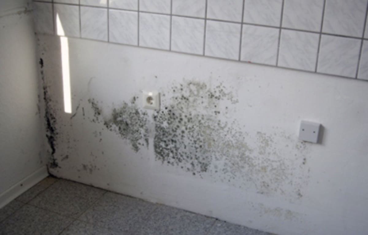 isolamento interno - Muffa dietro l' armadio spiegata bene 12 isolamento interno - Muffa dietro l' armadio spiegata bene 11