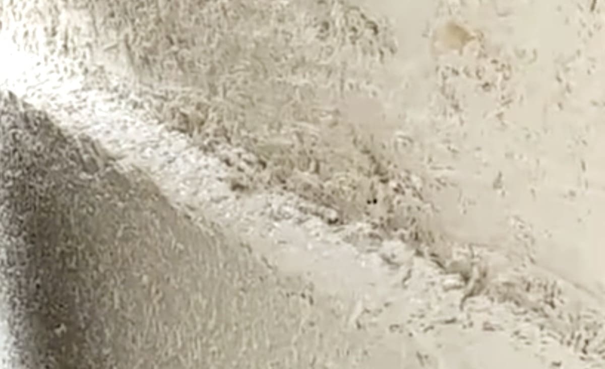 finitura interna parete - Intonaco interno per blocchi che non necessitano di cappotto 7 finitura interna parete - Intonaco interno per blocchi che non necessitano di cappotto 7