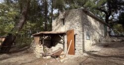 La famiglia che vive nel bosco, senza muffa e senza inquinamento