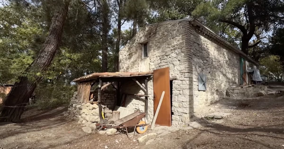 La famiglia che vive nel bosco, senza muffa e senza inquinamento