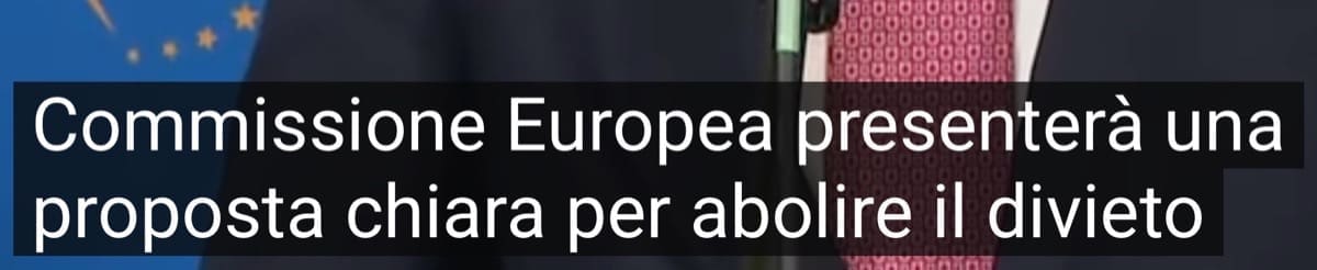 auto elettrica - Revisione delle politiche sulla combustione e sulle stufe a legna 20