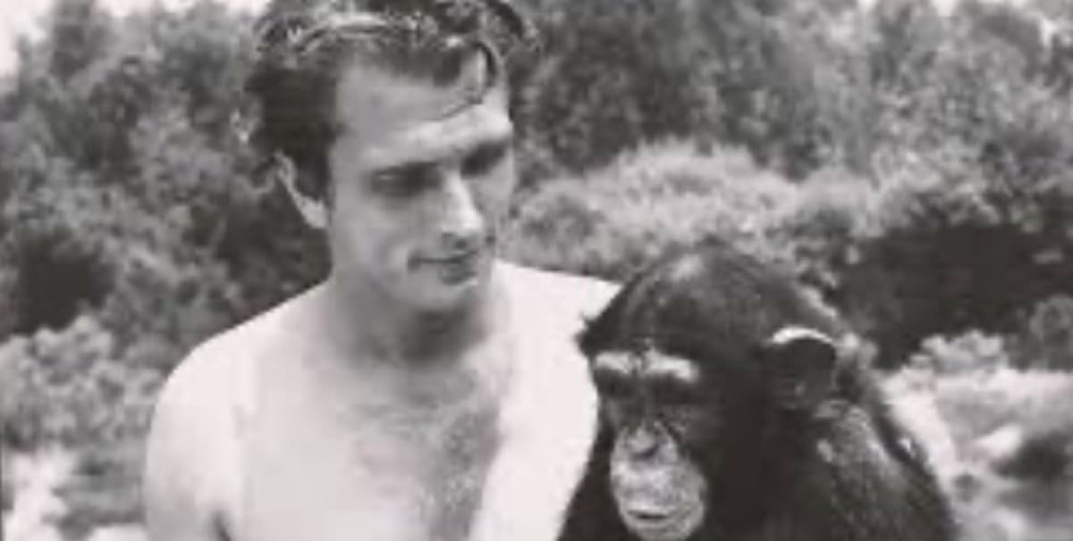 tenuta all' aria tetto - Freno al vapore sul tetto in legno, NON così 8 tenuta all' aria tetto - Freno al vapore sul tetto in legno, NON così 8