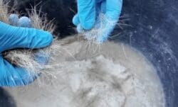 Intonaco interno senza rete